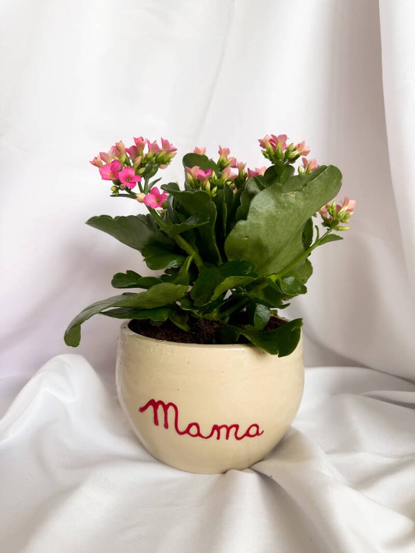 Bloempot mama M/L (inclusief plantje)