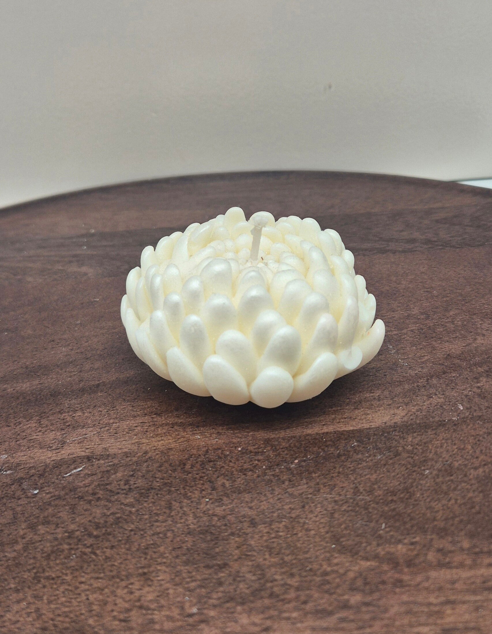 Grote chrysant (10 stuks)