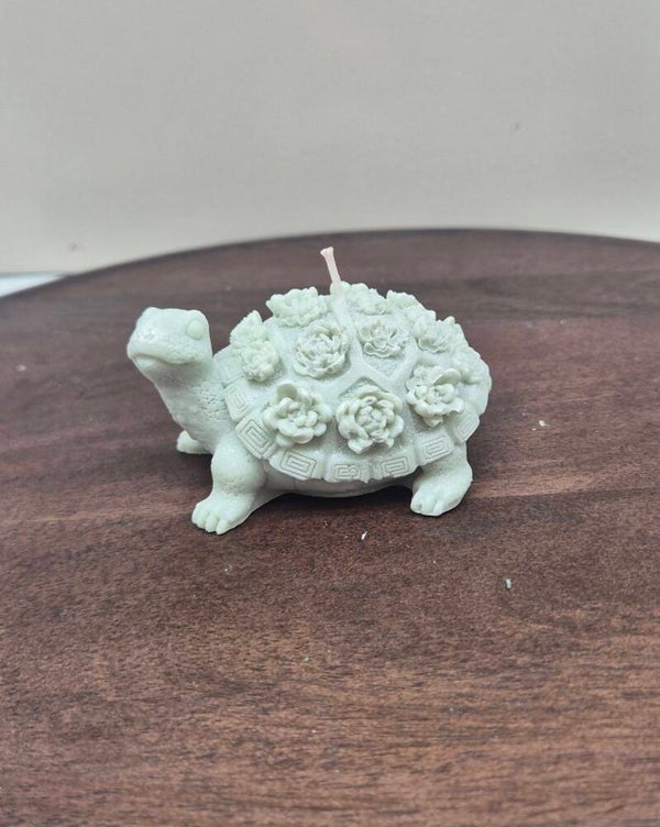 Schildpad Medium