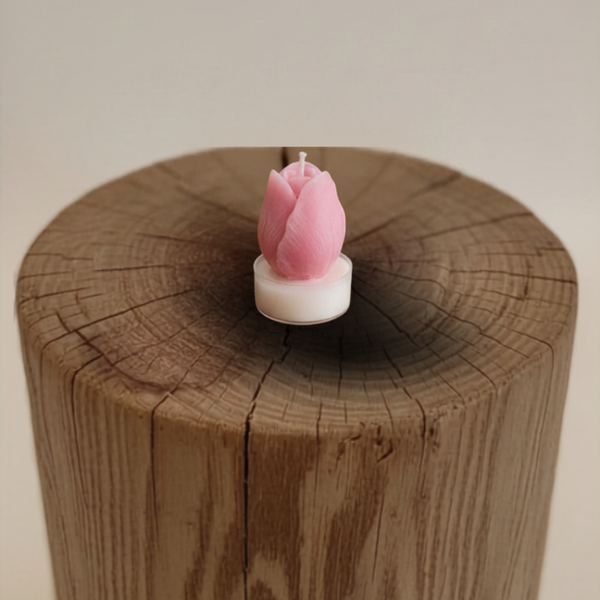 Waxine tulp (10 stuks)