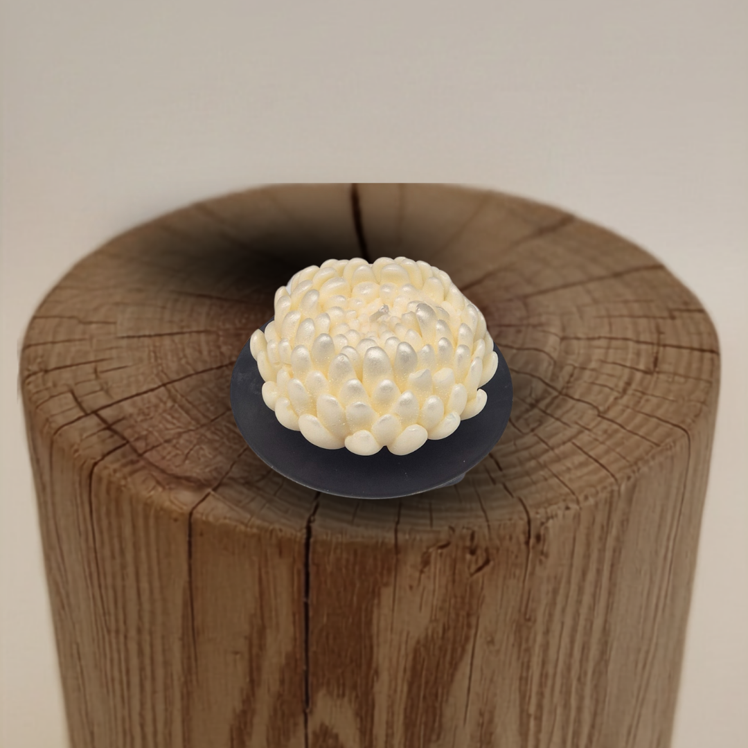 Grote chrysant (10 stuks)