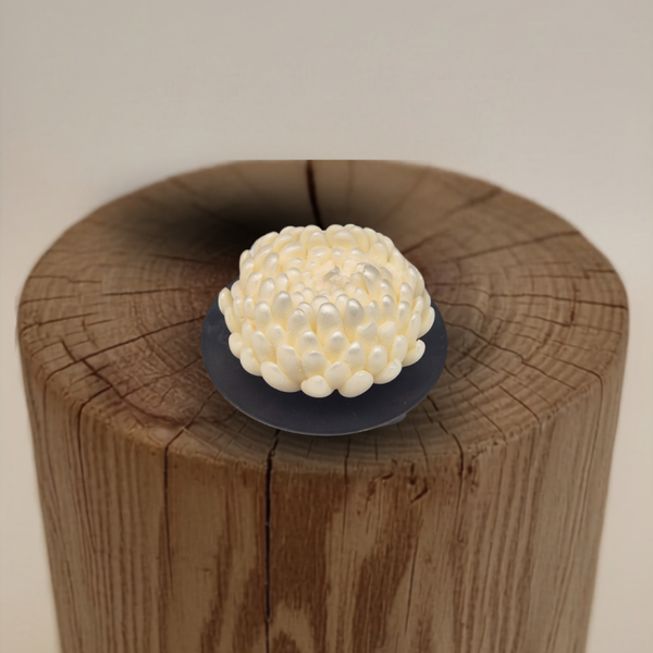 Grote chrysant (10 stuks)