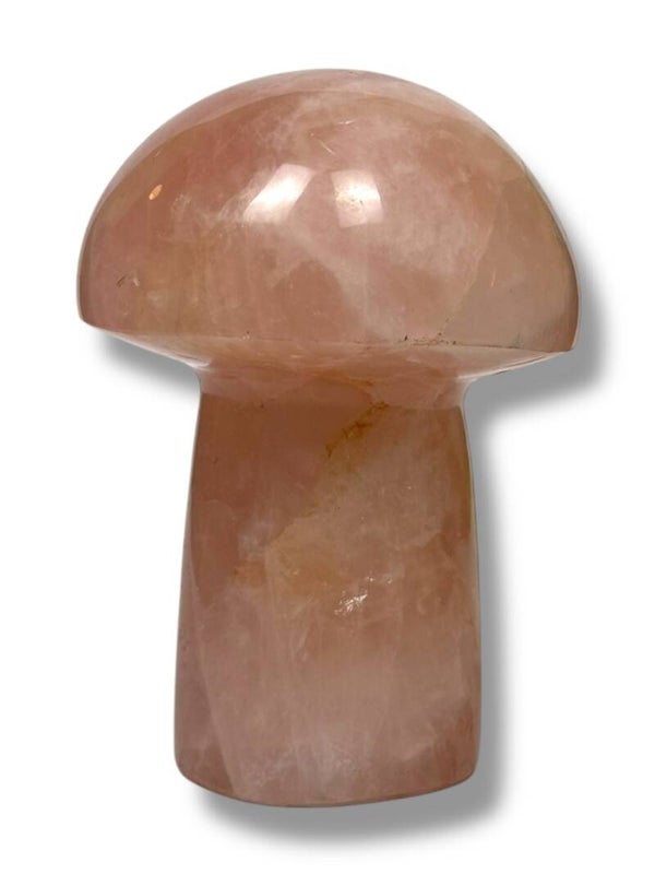 Rozenkwarts paddenstoel