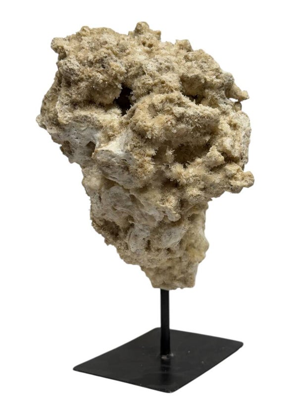 Calciet op standaard