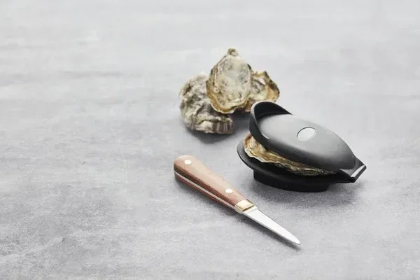 Point Virgule oestermes met houder - 2 delige set