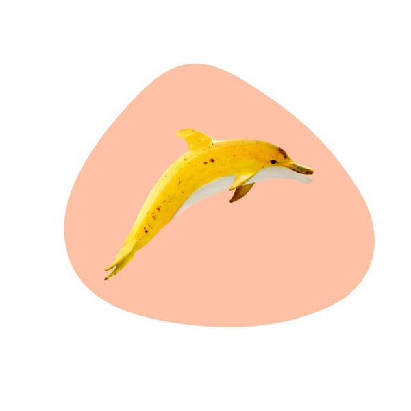 PVC placemat. Dolphin decoration.