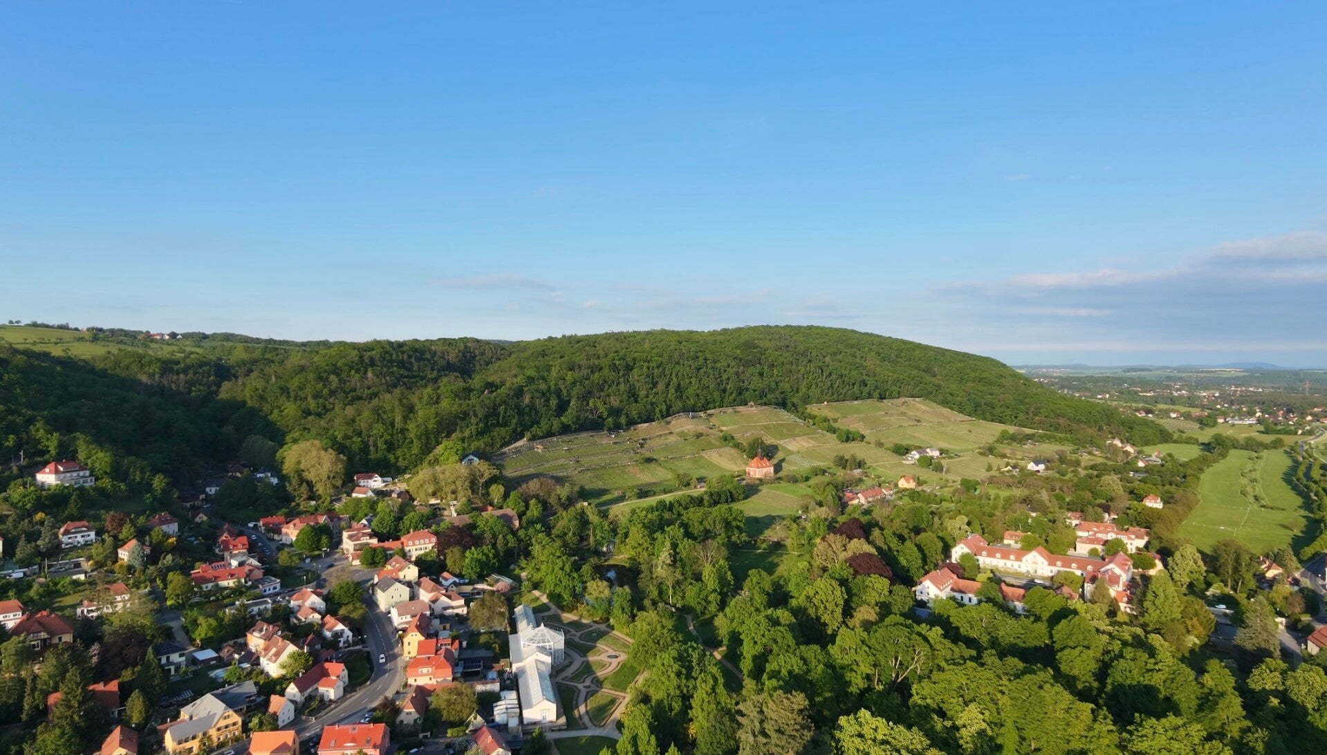 Pillnitzer Weinberge mit den Weinspots des Pillnitzer Weinkreisels bei Dresden