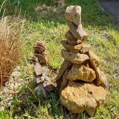 20210517_164730-standard.jpg
