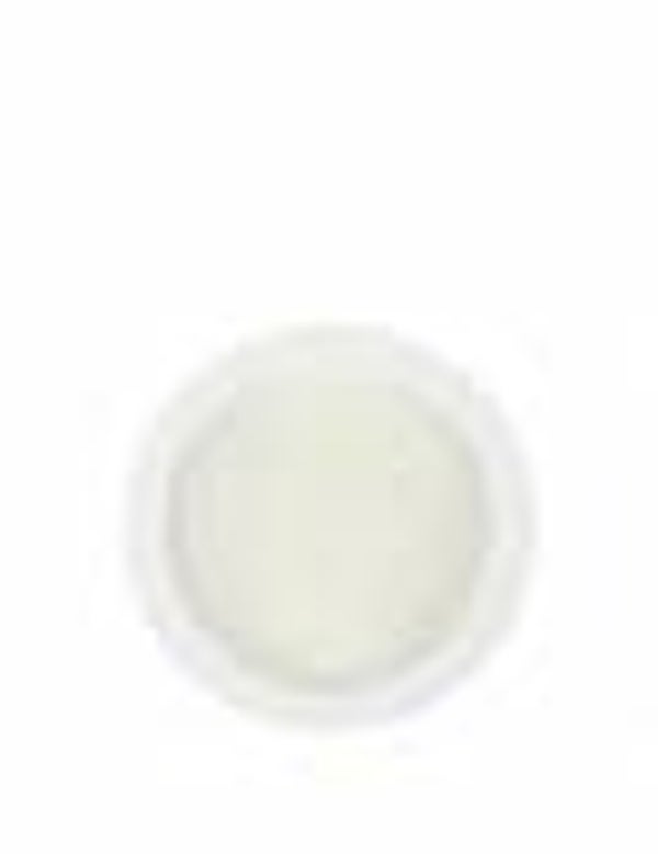 Acryl poeder white - 30gr