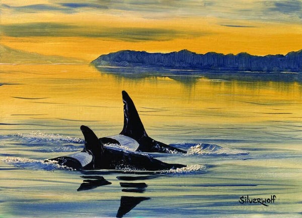 Coast Salish Orca Greeting card (GCO2)