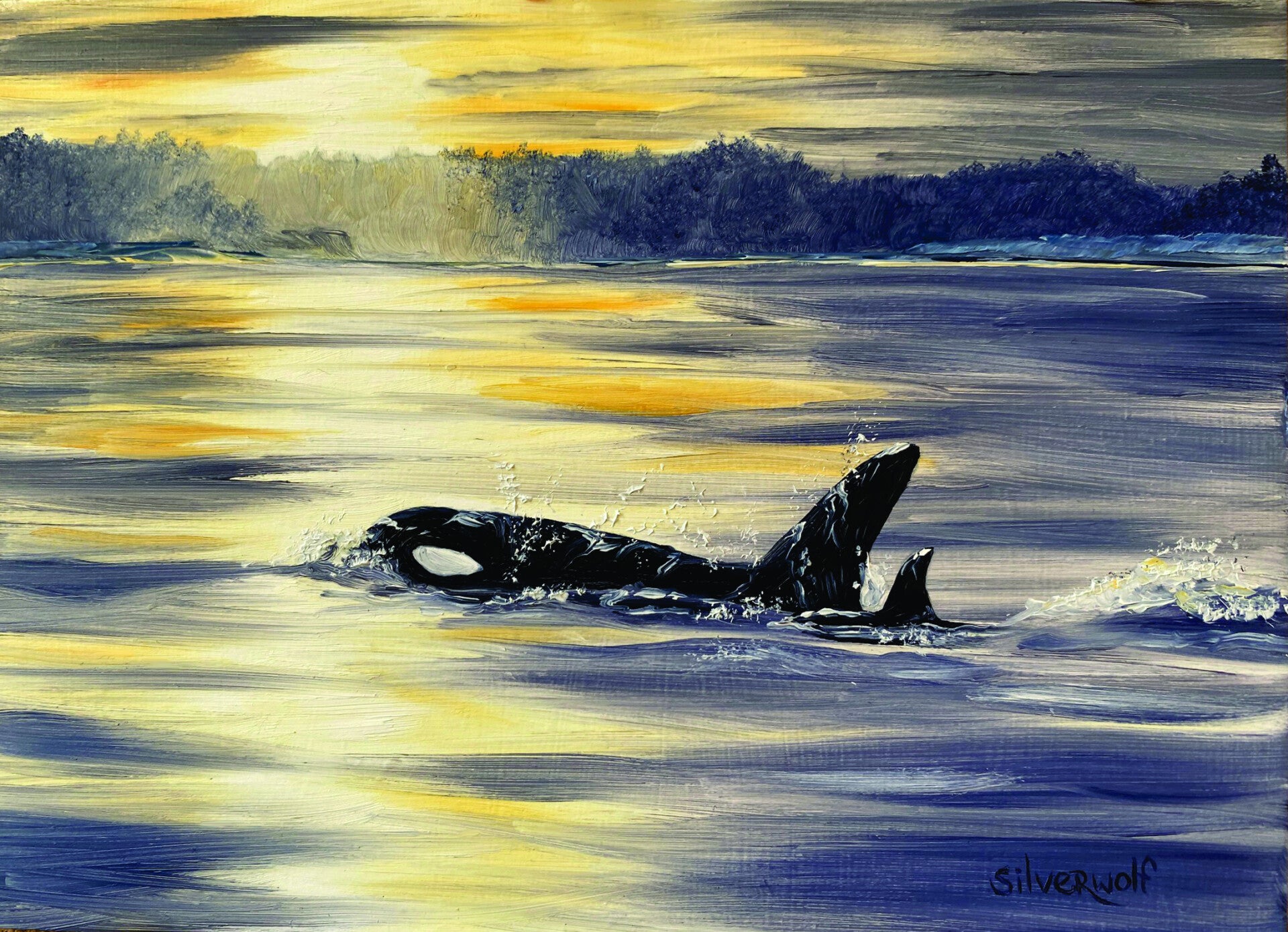 Coast Salish Orca Greeting Card (GCO6)