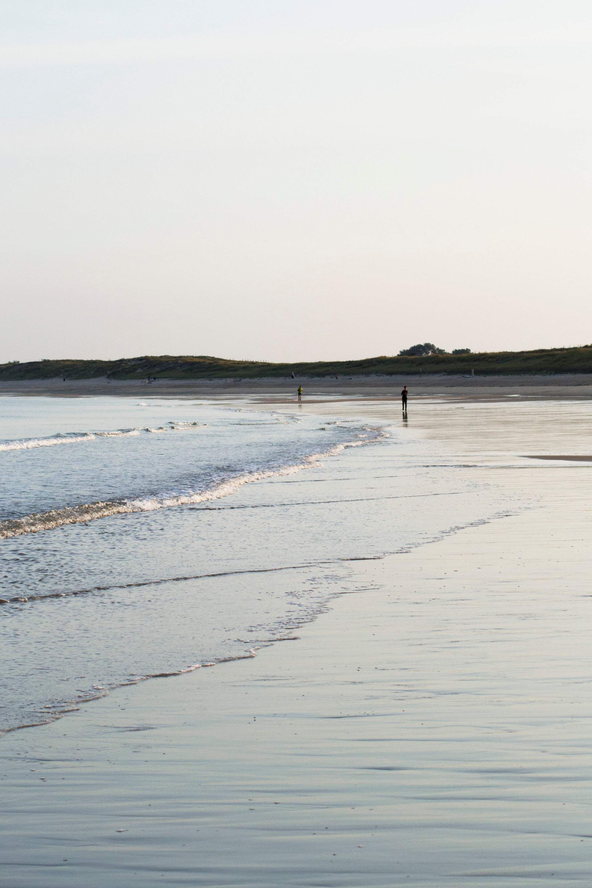 L'îlot fleurs votre paysagiste créateur d'espace paysager sur l'île d'Oléron 
