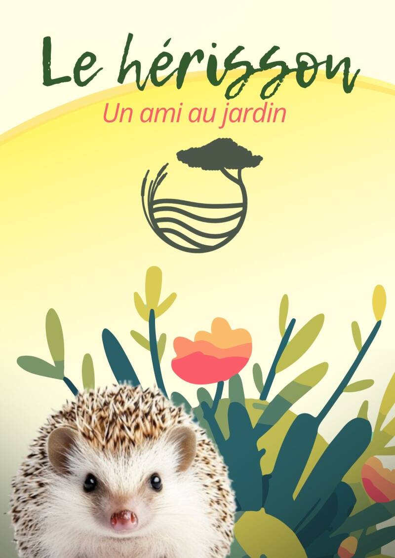 L'îlot fleurs jardins et services paysagiste entretien de jardin sur le secteur de l'île d'Oléron