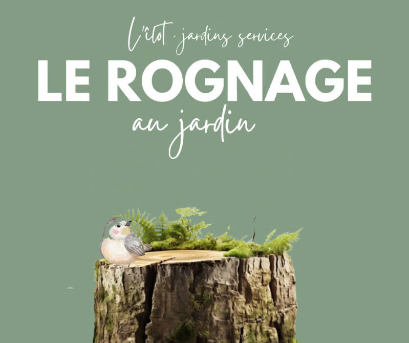 L'îlot jardins services entretien de jardin bassin marennes oléron 