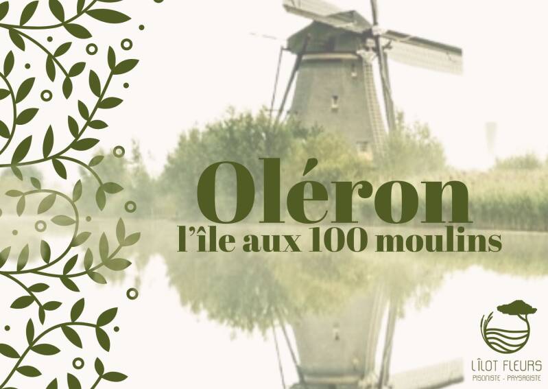 L'îlot fleurs pisciniste et paysagiste oléron tourisme