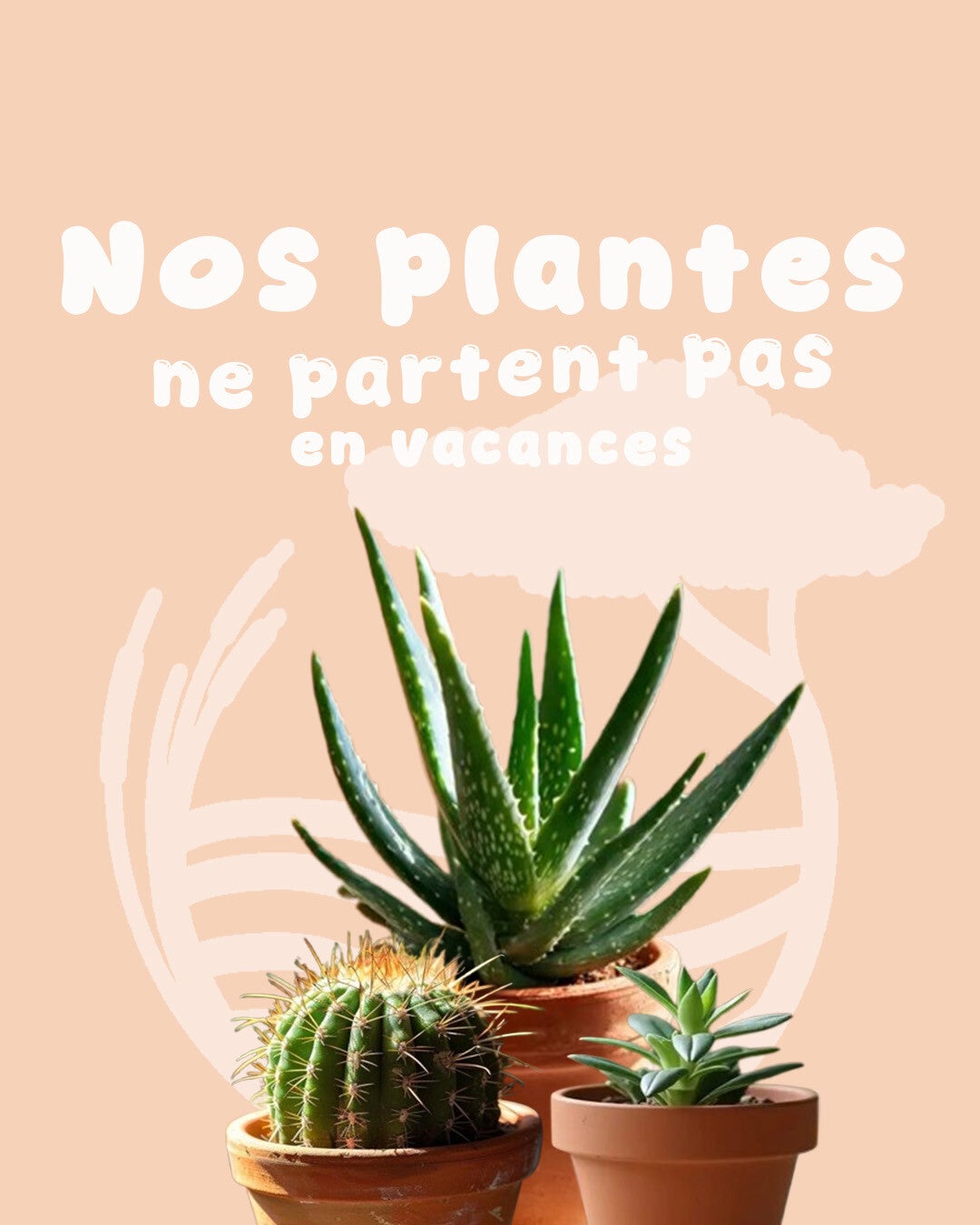 OPS Oléron piscines et spas