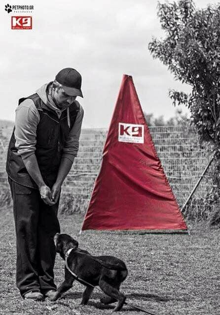 PHOTO GALLERY | ROTTWEILER-GREECE. NET