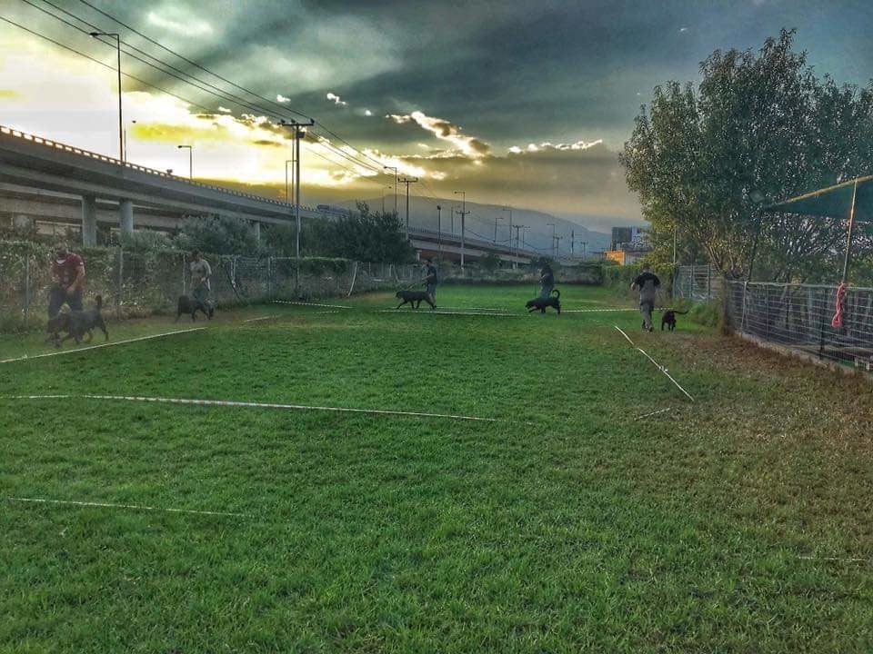 EΠΙΚΟΙΝΩΝΙΑ - CONTACTS | ROTTWEILER-GREECE. NET