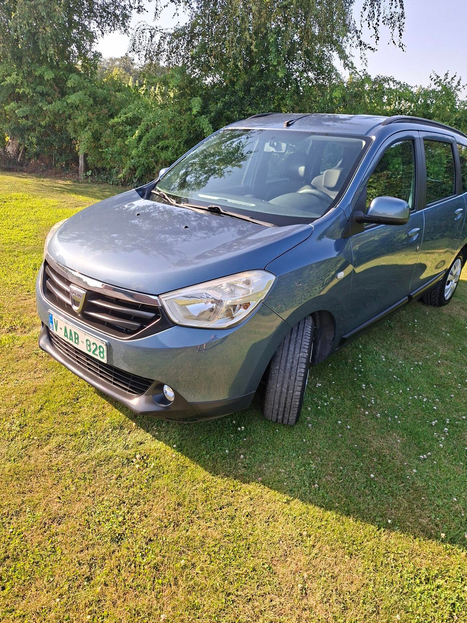 Dacia Lodgy Dci