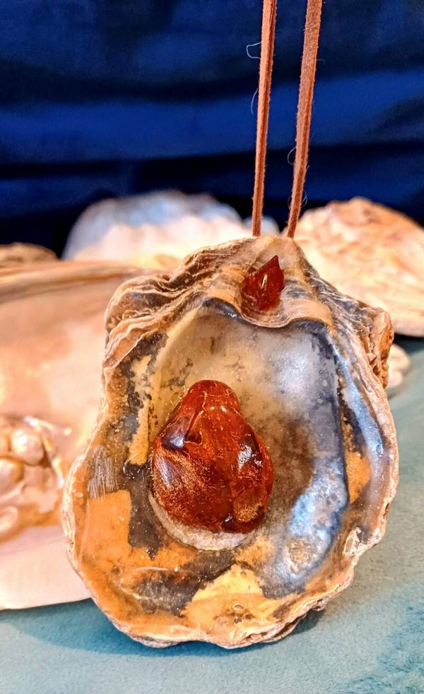 WISIOR MUSZLA "AMBER"