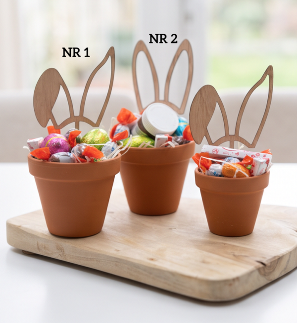 Vrolijk paasgeschenk met konijntje - Een potje vol paasgeluk