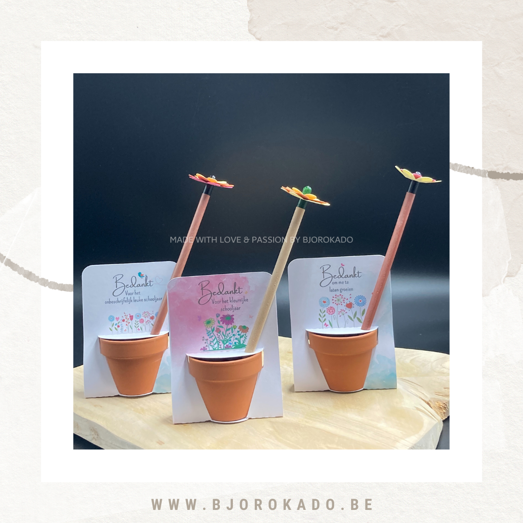 Groeipotlood - een potlood dat je kan zaaien