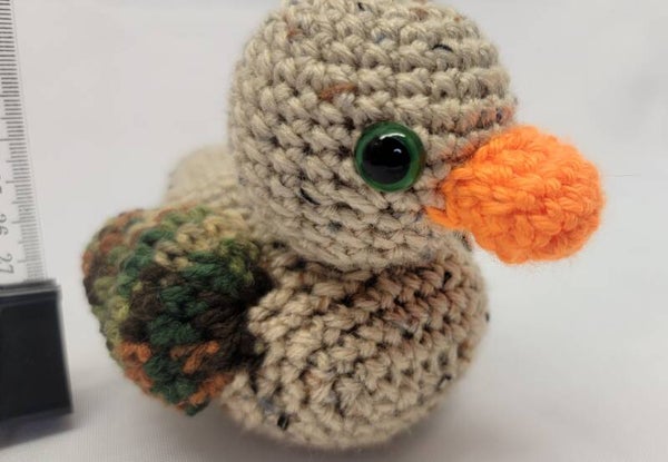 Duck