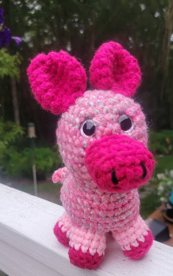 Pig