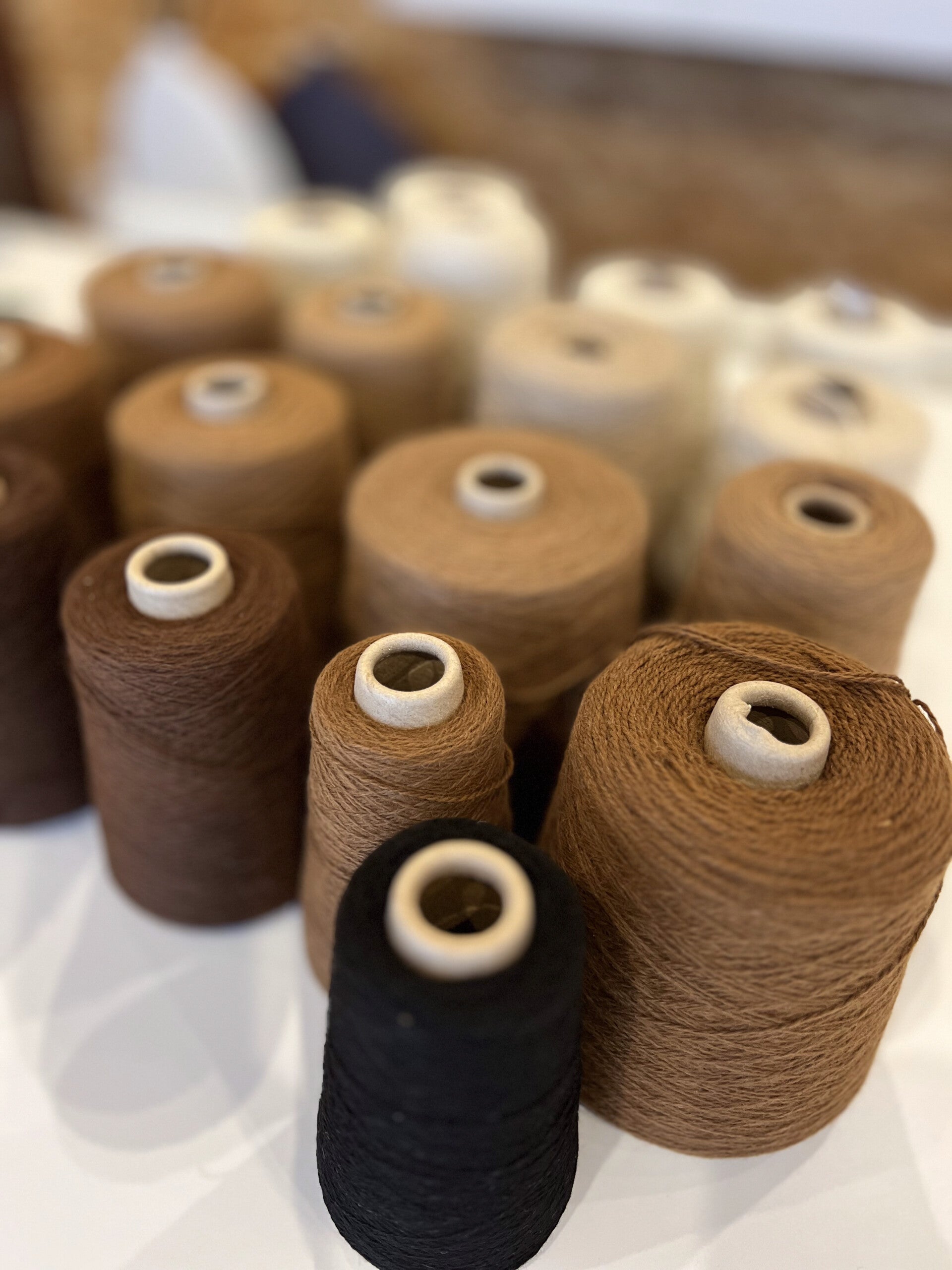 Filature, fibre d'alpaga, laine, valorisation, filière