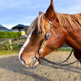 Custom Lightweight One Ear