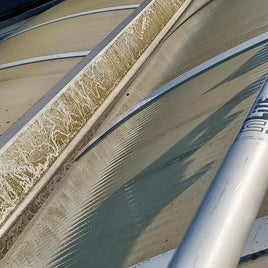 20250904_090238-standard.jpg