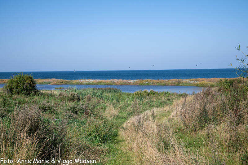 dsc_1083-kopi-standard.jpg