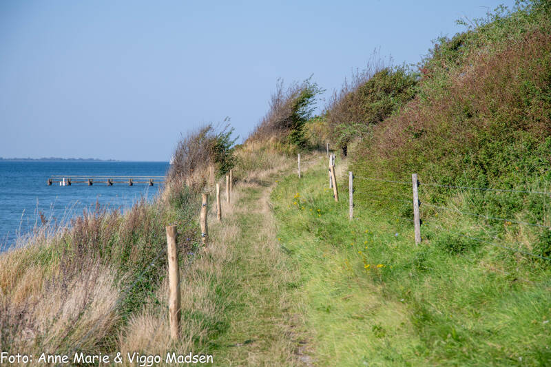 dsc_1217-standard-68cnbx.jpg