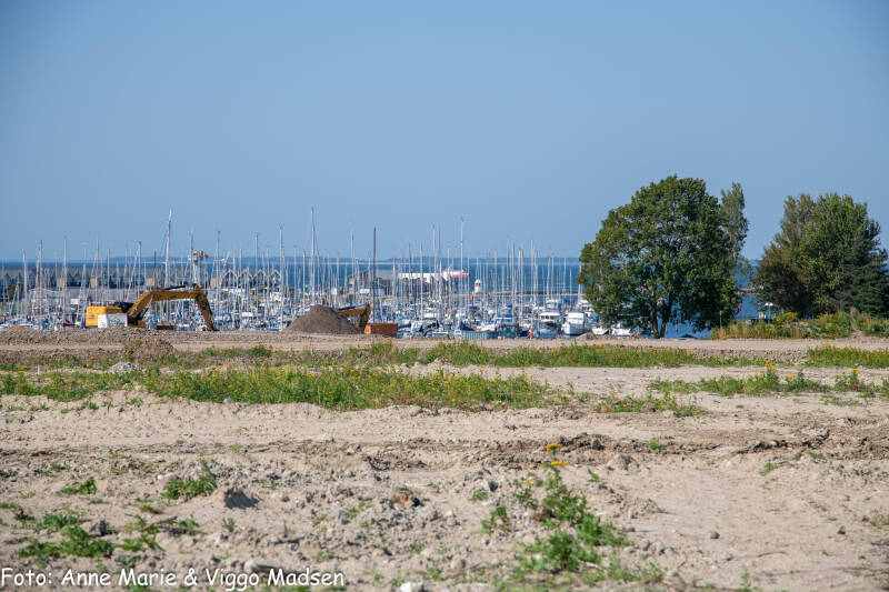 dsc_1227-standard.jpg