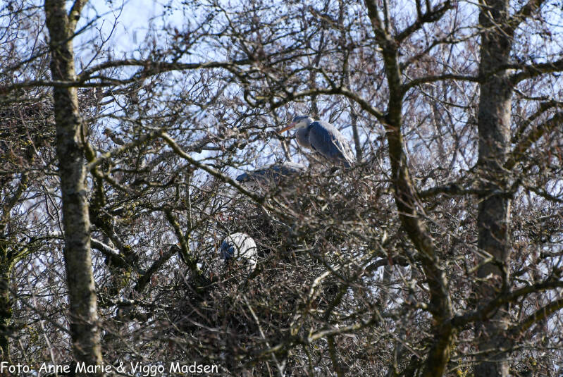 dsc_1651-standard.jpg