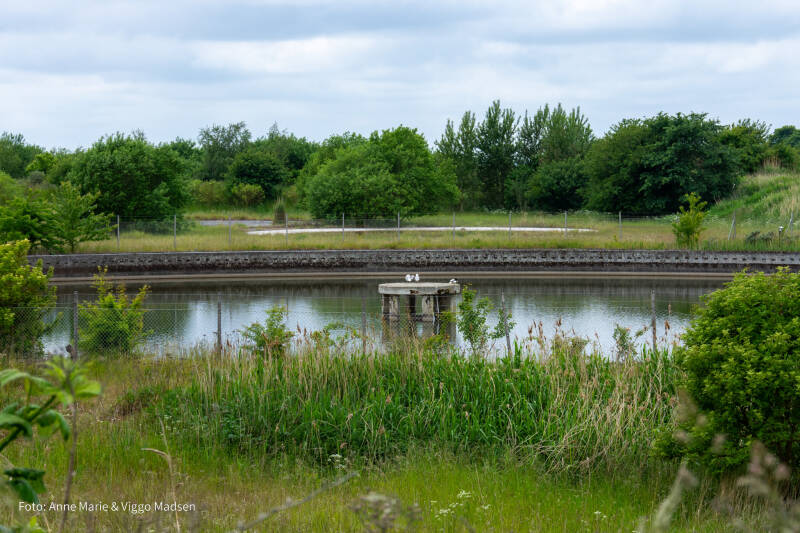 dsc_1808-standard.jpg