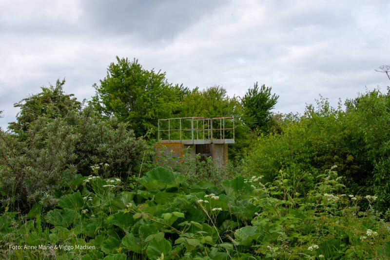 dsc_1814-standard.jpg