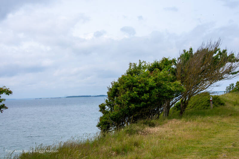 dsc_1870-standard.jpg