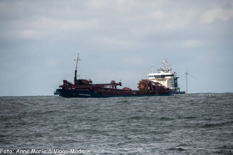 dsc_1966-standard.jpg