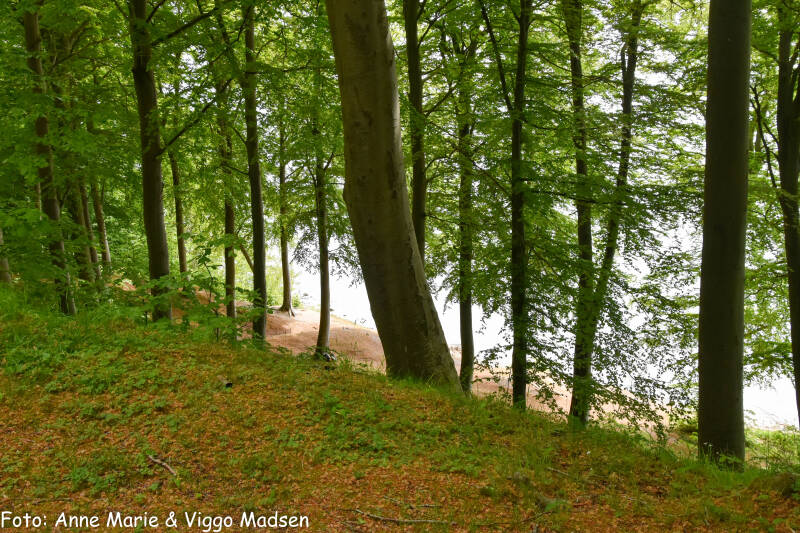 dsc_2462-standard.jpg