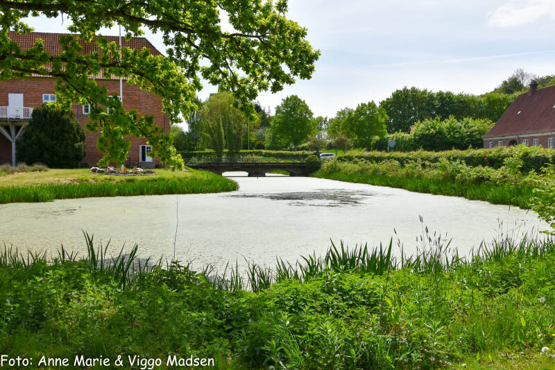 dsc_2535-standard.jpg