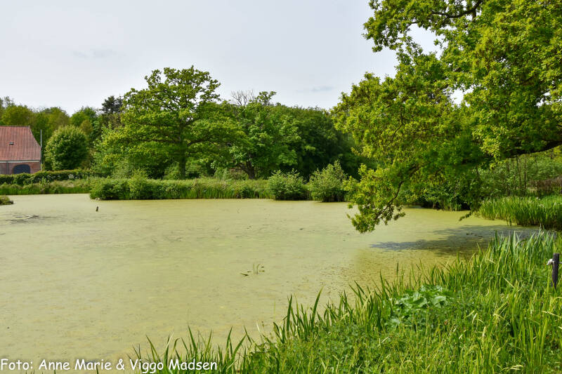 dsc_2556-standard.jpg