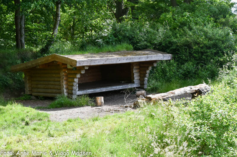 dsc_3062-standard.jpg