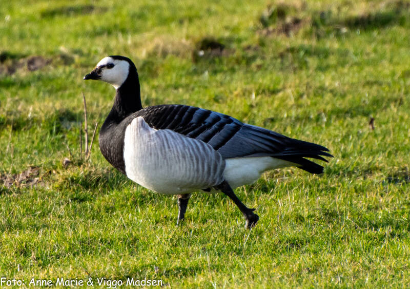 dsc_3585-standard-enqna9.jpg