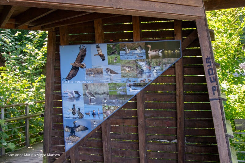 dsc_3748-standard.jpg