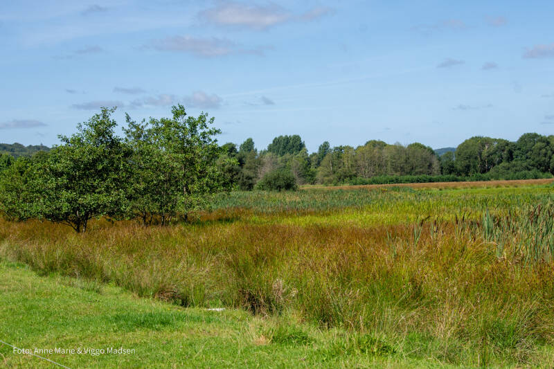 dsc_3751-standard.jpg