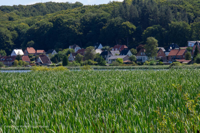 dsc_3777-standard.jpg