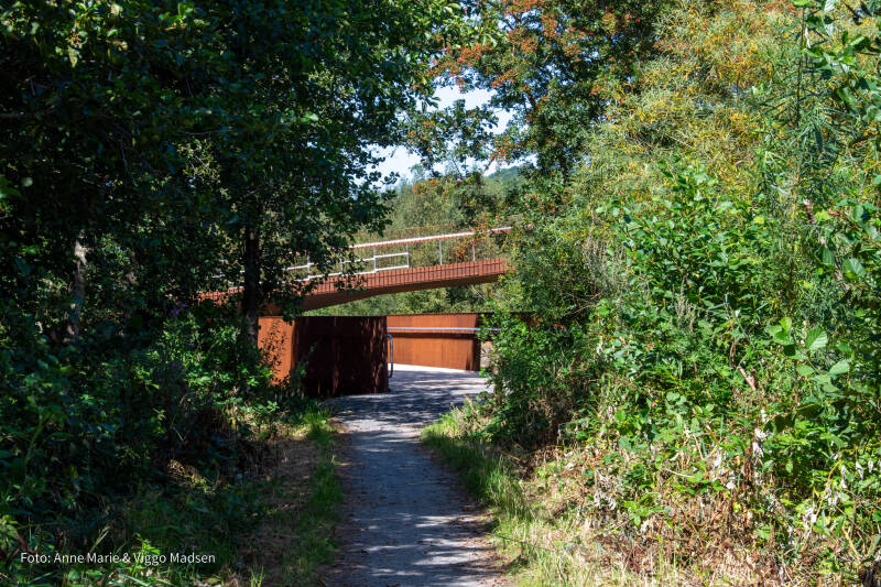 dsc_3787-standard.jpg