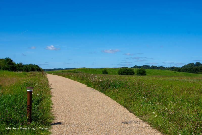 dsc_3832-standard.jpg