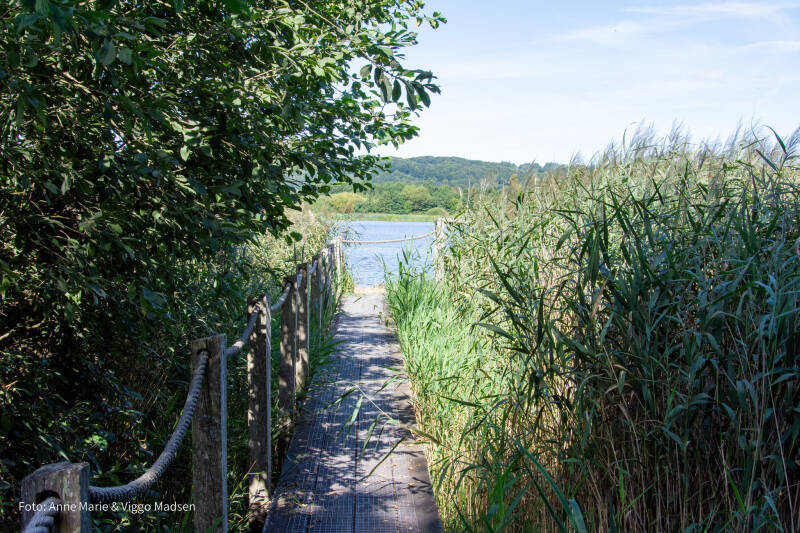 dsc_3867-standard.jpg